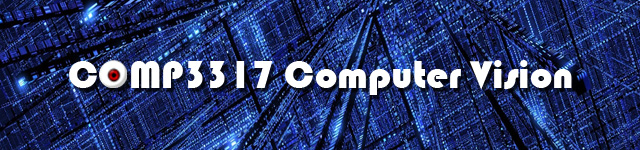 COMP3317 Computer Vision